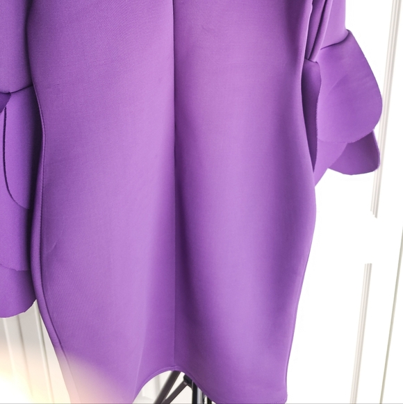 Elegant Purple Dress with Unique Sleeves - Picture 6 of 6